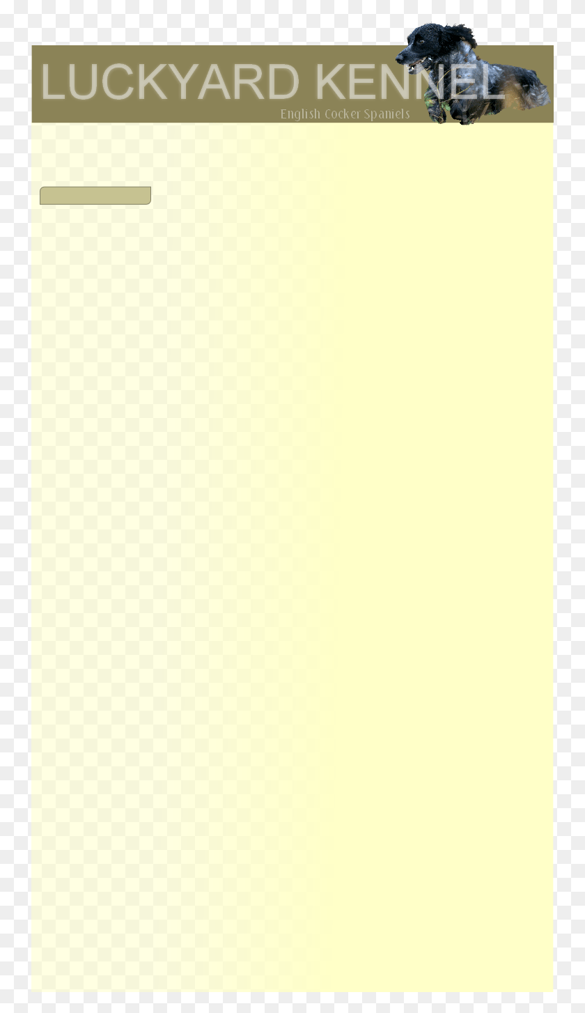 750x1394 More A Touch Of Jazz, White, Texture, Person HD PNG Download