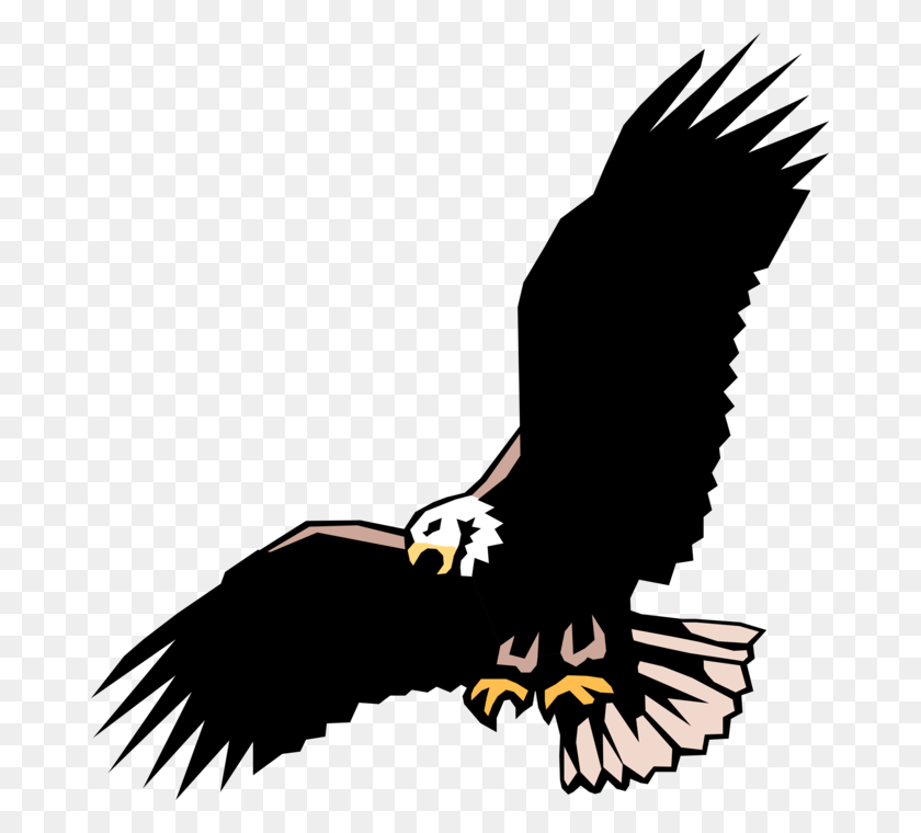 673x700 More In Same Style Group Adler, Bird, Animal, Eagle HD PNG Download