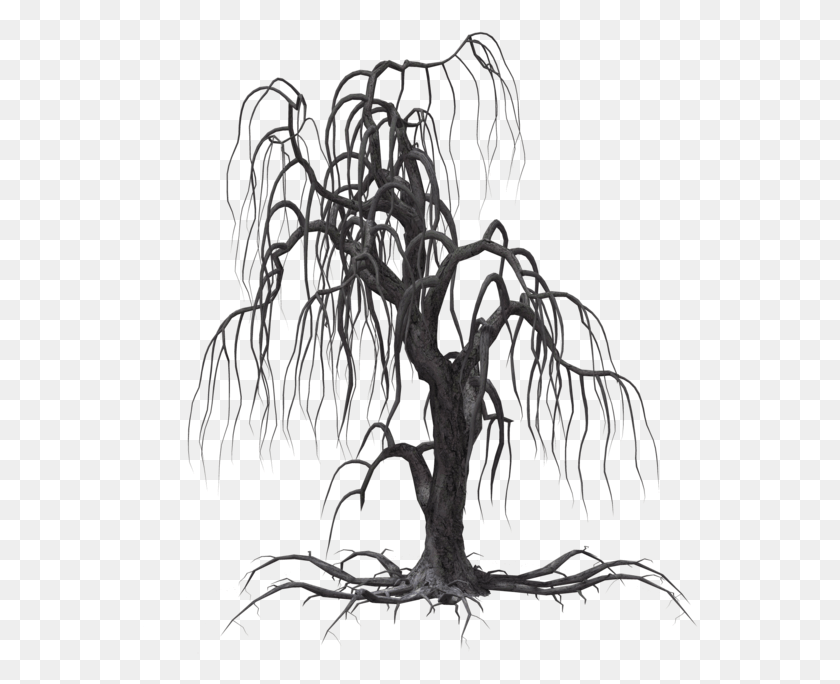 557x624 More Like Creepy Tree 11 By Wolverine041269 Creepy Trees, Root, Plant HD PNG Download
