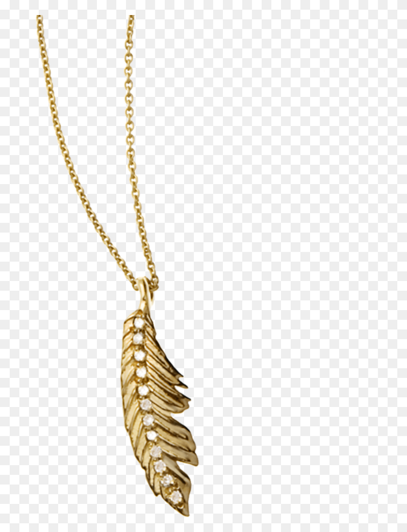 697x1038 More Like This Pendant, Necklace, Jewelry, Accessories HD PNG Download