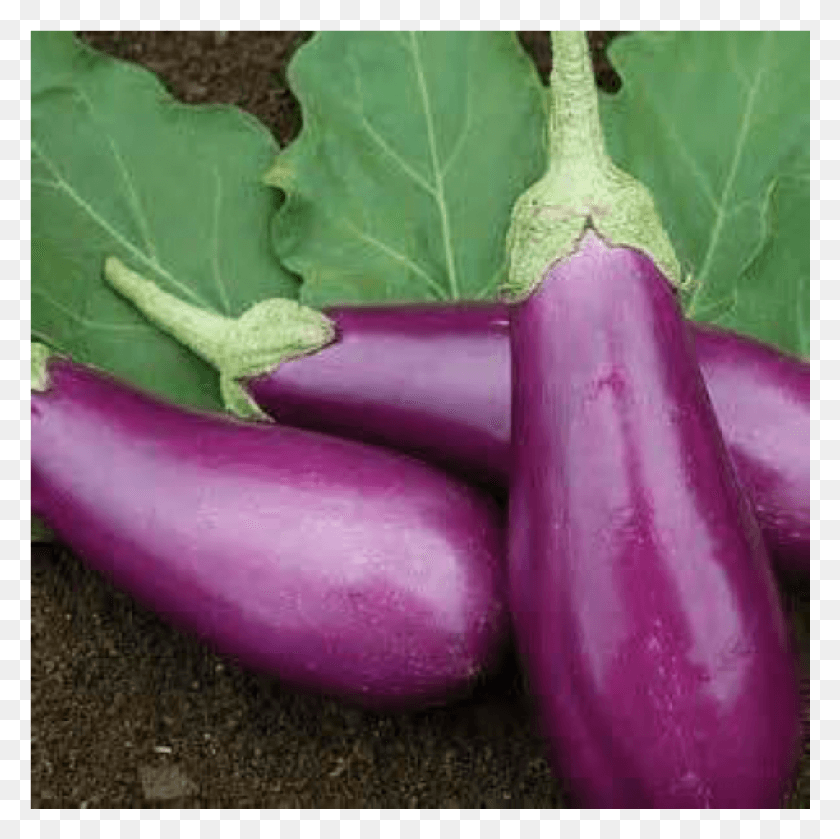1001x1001 More Views Brinjal Brinjal Vegetable, Plant, Food, Eggplant HD PNG Download