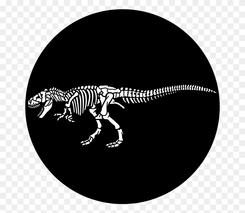 669x669 Descargar Png Fossil Victoria University Press Logo, Reptil, Animal, Dinosaurio Hd Png