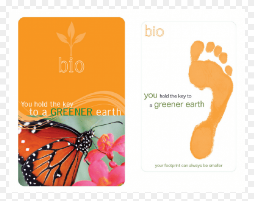 801x623 More Views Monarch Butterfly, Animal, Invertebrate, Footprint HD PNG Download
