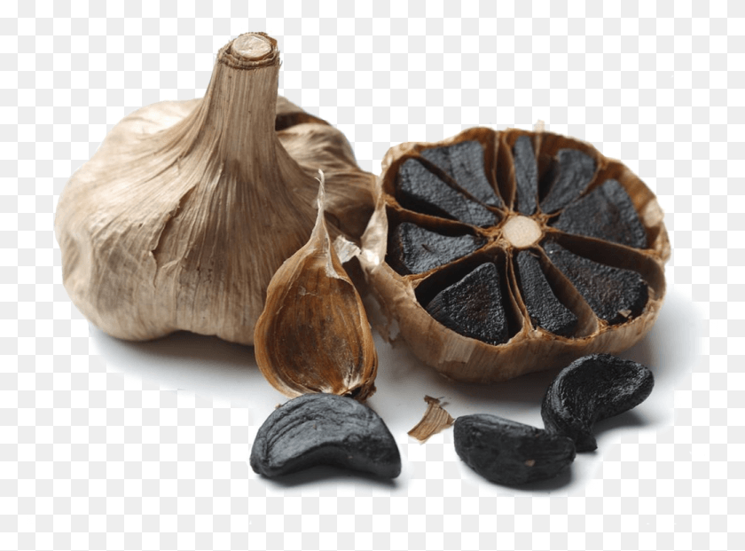 1039x748 Moreover The Antioxidant In Black Garlic Are Much Black Garlic, Plant, Vegetable, Food HD PNG Download