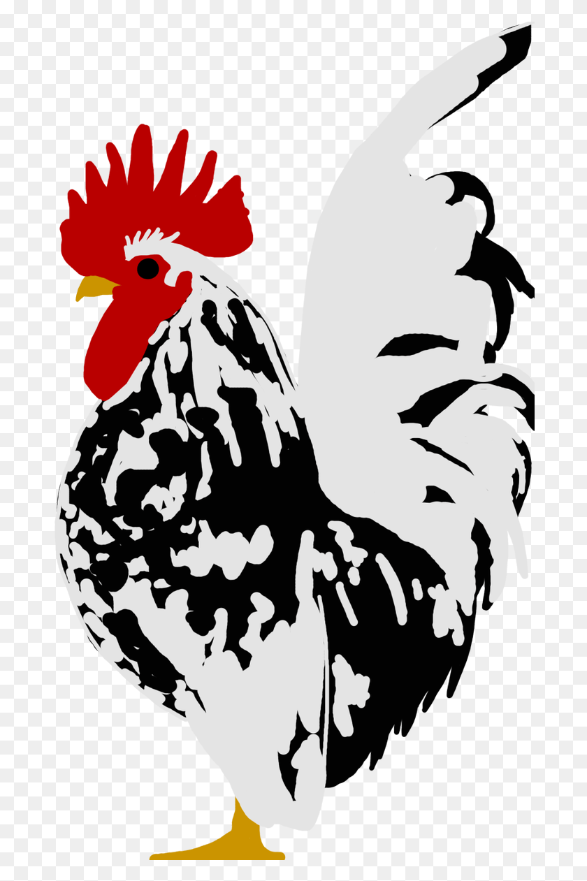690x1201 Mori Teapot Rooster, Poultry, Fowl, Bird HD PNG Download
