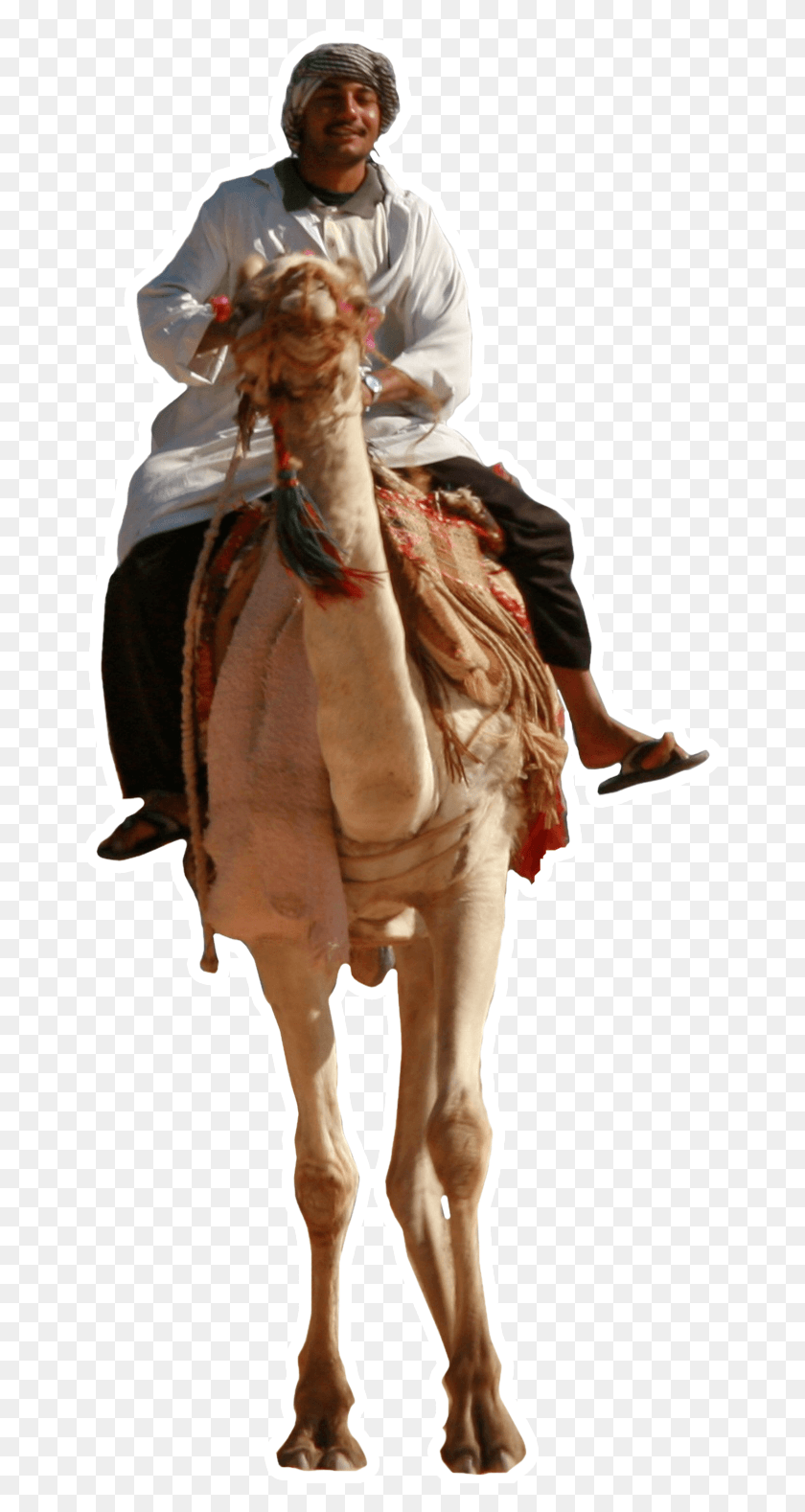 668x1518 Марокко Туры По Пустыне Обзоры Tripadvisor Человек На Верблюде, Человек, Человек, Лошадь Hd Png Скачать