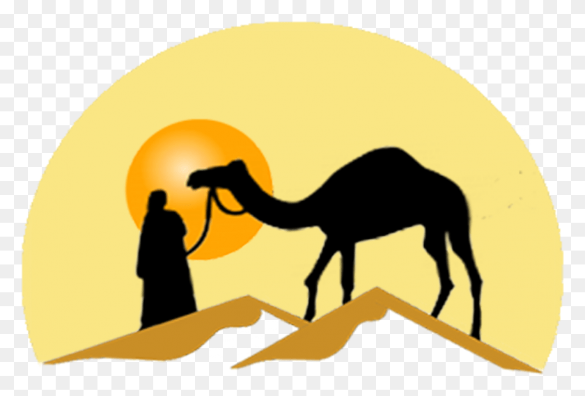1331x870 Марокко Explora Tours And Adventures Поездки В Пустыню Pluspng Dromadaire, Верблюд, Млекопитающее, Животное Hd Png Скачать