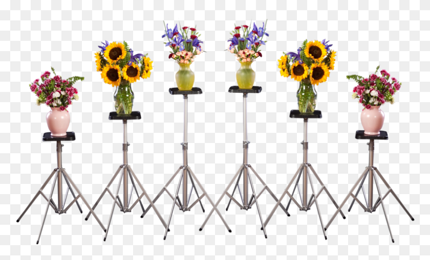 790x455 Mortuary Flower Stand Flower Vase Stand, Plant, Chandelier, Lamp HD PNG Download