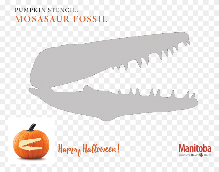 2846x2189 Mosasaur Fossil Pumpkin Carving Stencil Jack O39 Lantern, Teeth, Mouth, Lip HD PNG Download