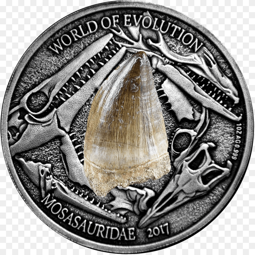 1080x1080 Mosasaurus World Of Evolution 1 Oz Silver Coin 1000 Monete Burkina Faso, Money, Animal, Insect, Invertebrate Sticker PNG