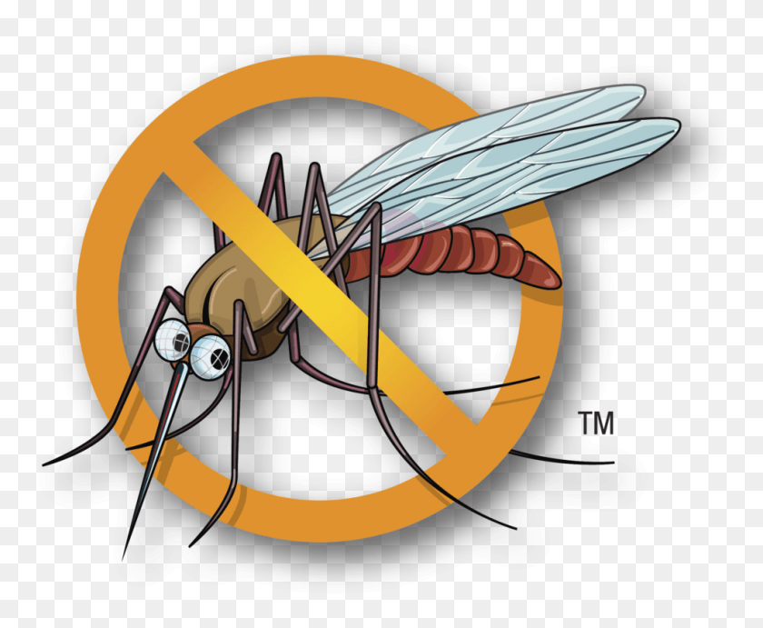 986x798 Mosquito Clipart Malaria Mosquito Anti Mosquito Clipart, Insect, Invertebrate, Animal HD PNG Download