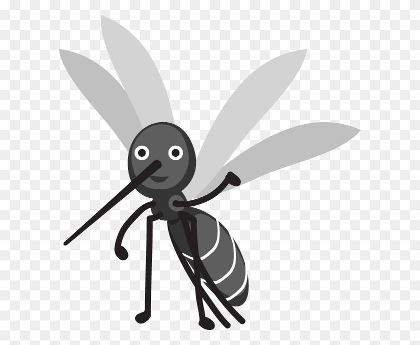 603x629 Mosquito Images Cartoon, Insect, Invertebrate, Animal HD PNG Download