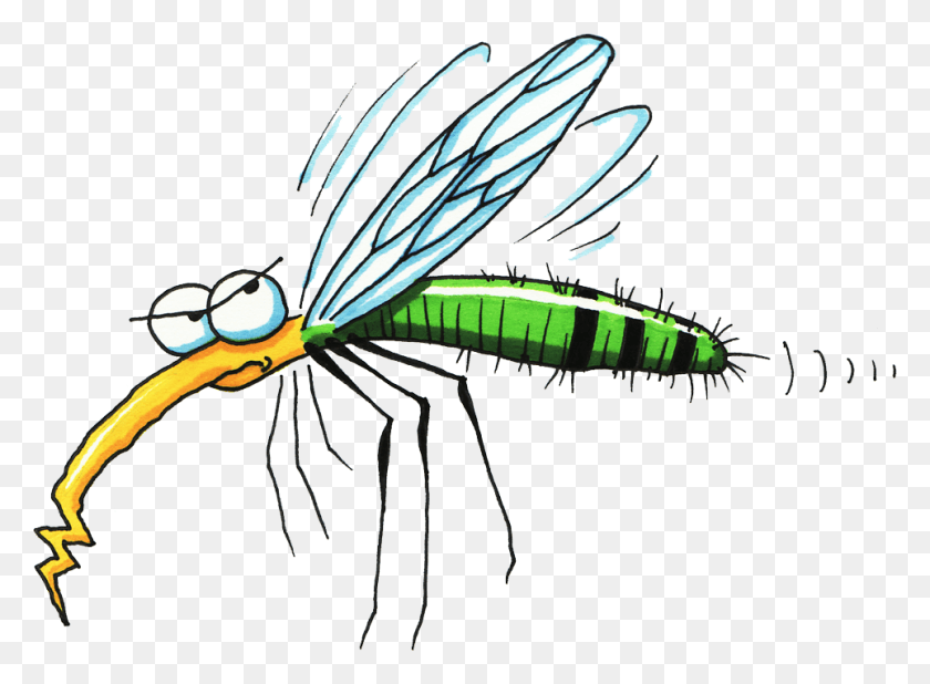 963x690 Mosquito Mosquito Clipart, Insecto, Invertebrado, Animal Hd Png