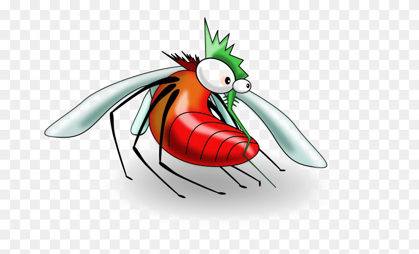 679x449 Комаров Популяции Комаров В Деревнях, Оса, Пчела, Насекомое Hd Png Скачать