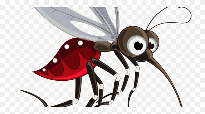 1200x630 Mosquito, Insecto, Invertebrado, Animal Hd Png