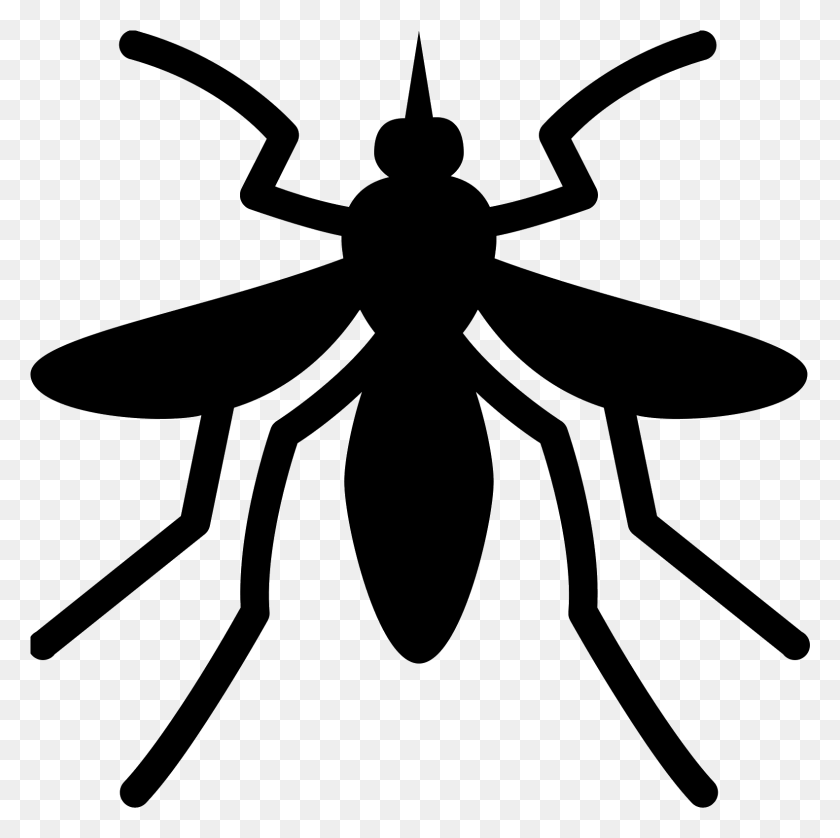 1582x1578 Mosquito Vector Mosquito Icon, Gray, World Of Warcraft HD PNG Download