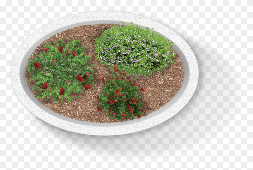 823x536 Moss, Potted Plant, Plant, Vase HD PNG Download