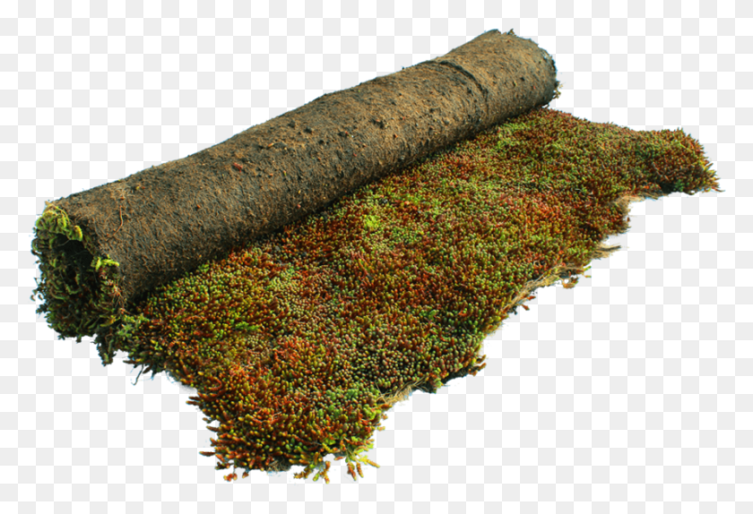 861x568 Moss Grass, Building, Architecture, Weapon HD PNG Download