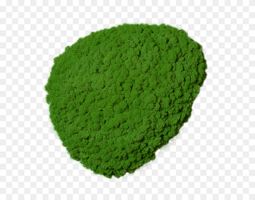 600x600 Moss Stone Moss Image Made Of Premium Moss Super Sale Mint Leave, Tennis Ball, Sport, Sports HD PNG Download