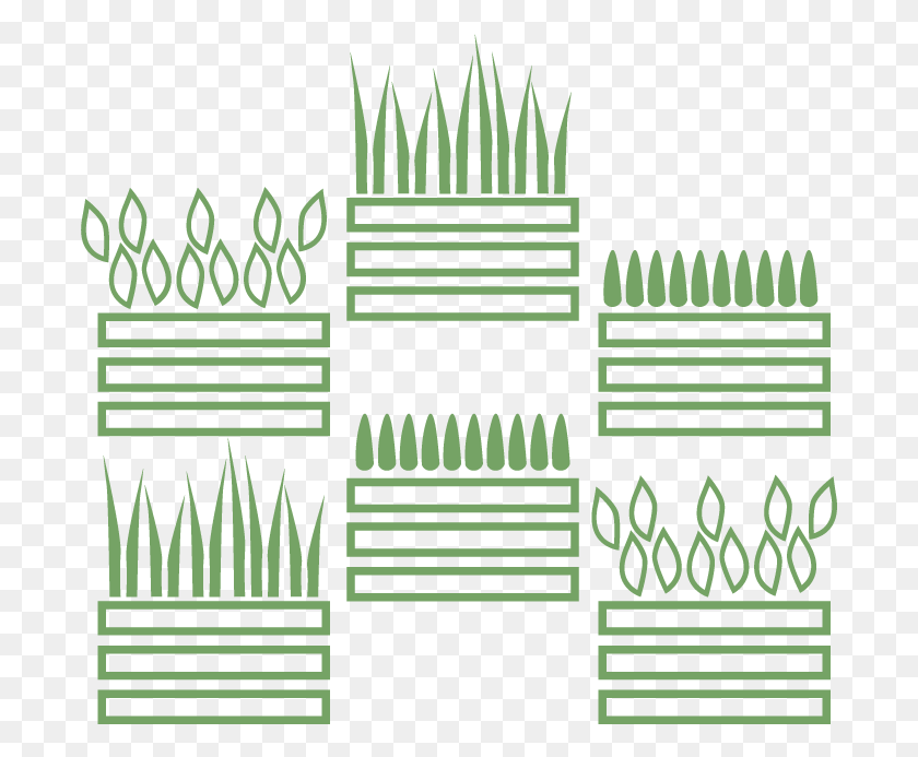 693x633 Moss Wall Living Wall Live Wall Green Wall Plant Picket Fence, Maze, Labyrinth, Mansion HD PNG Download