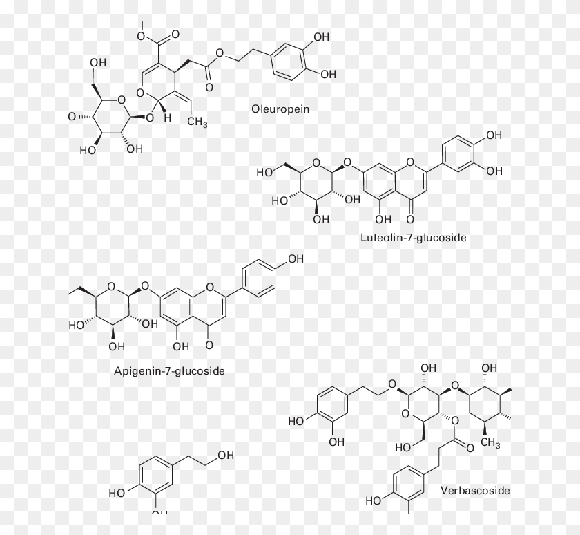 642x714 Most Abundant Phenolics Present In Olive Leaf Zinc Formic Acid, Text, Number, Symbol HD PNG Download