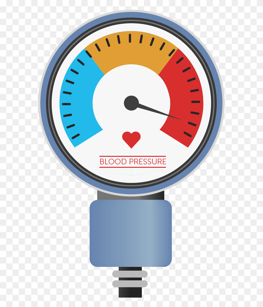 597x919 Most People Are Born With Two Kidneys High Blood Pressure, Gauge, Tachometer HD PNG Download