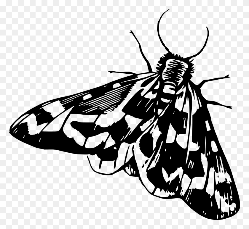 1024x938 Moth Clipart Black And White, Gray, World Of Warcraft HD PNG Download