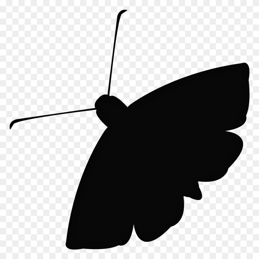 1111x1112 Moth Image Black Moth, Bow, Animal, Insect HD PNG Download