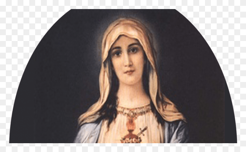 805x474 Mother Mary Sacred Heart, Person HD PNG Download