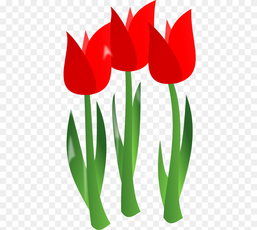 440x750 Mothers Day Flower Bouquet Holiday, Plant, Tulip Sticker PNG