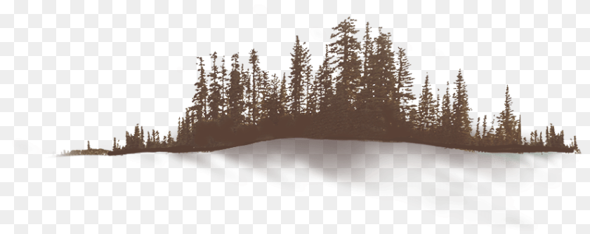 Mountain B Snow, Art, Graphics, Tree, Plant Sticker PNG