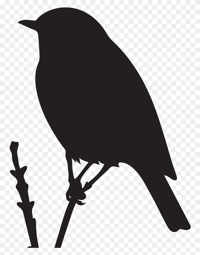 762x1012 Mountain Bluebird Bluebird Silhouette, Bow, Blackbird HD PNG Download