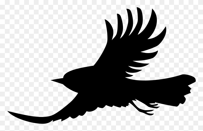 2812x1742 Mountain Chickadee Hawk, Flying, Bird HD PNG Download