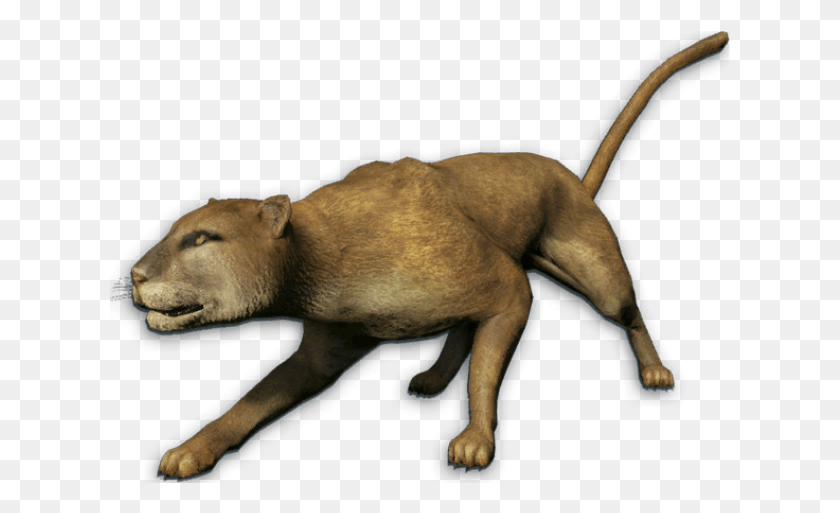 621x453 Mountain Lion Clipart 3 Lion Far Cry 3 Mountain Lion, Dog, Pet, Canine HD PNG Download