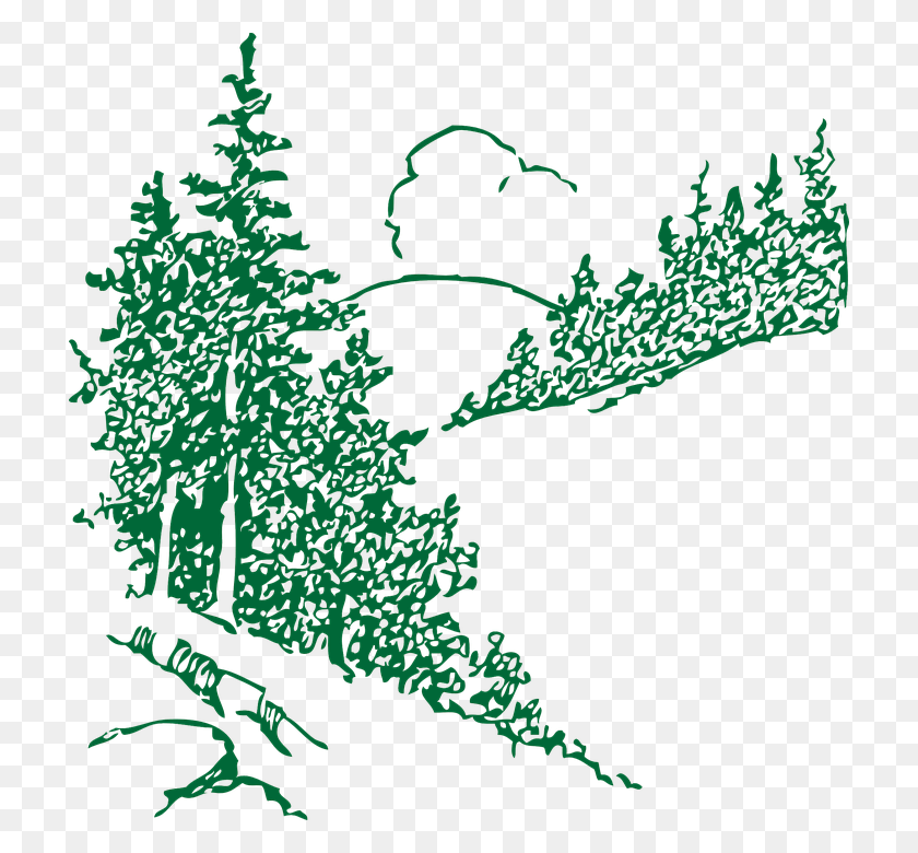 714x720 Mountains Clipart Trees Pine Tree Sketch, Plant, Leaf, Text HD PNG Download