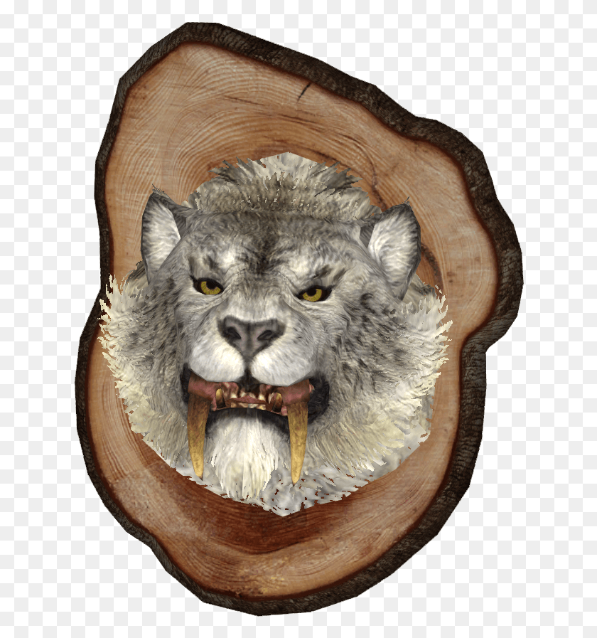 634x837 Mounted Snowy Sabre Cat Head, Mammal, Animal, Wood HD PNG Download