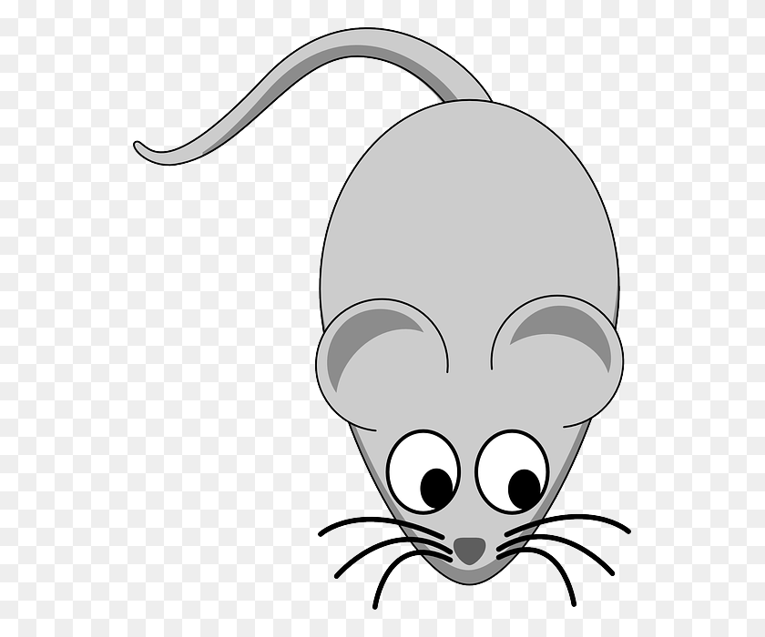 547x640 Mouse Animal Cliparts Mouse Clipart Jpg, Stencil HD PNG Download