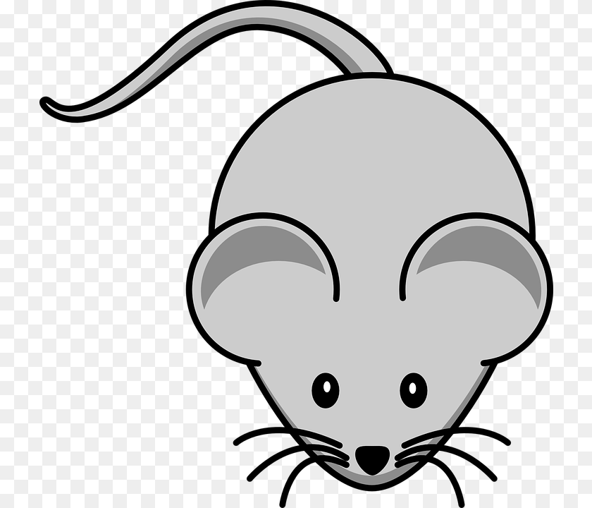 729x720 Mouse Clip Art, Computer Hardware, Electronics, Hardware, Stencil Clipart PNG