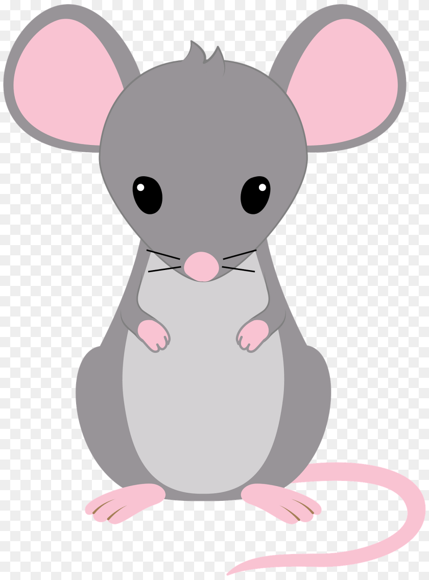 1420x1920 Mouse Clipart, Animal, Mammal, Rodent, Nature PNG