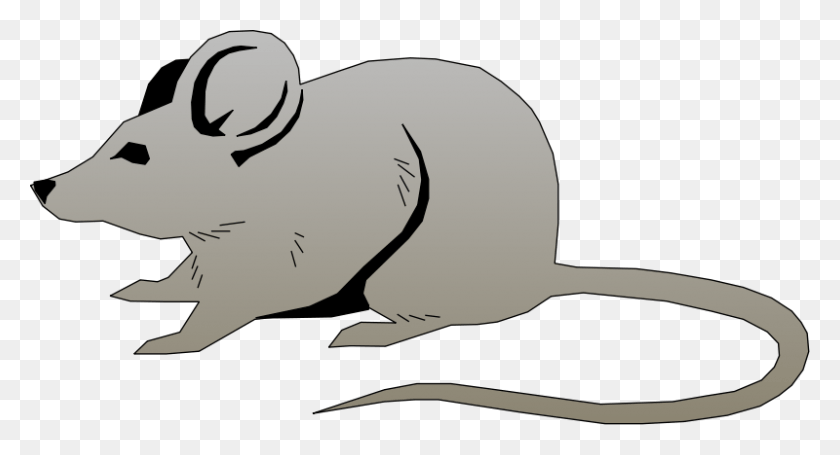 800x406 Mouse Free Vector 4vector Mouse Clipart, Mammal, Animal, Rodent HD PNG Download