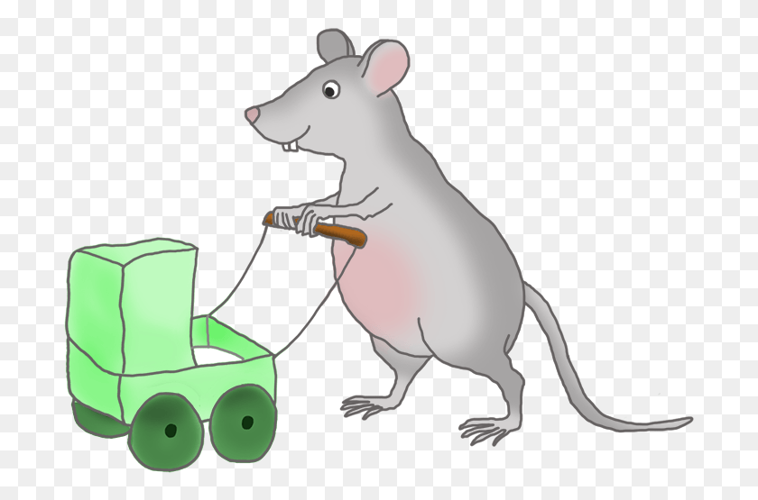 699x495 Мышь Крыса, Млекопитающее, Животное, Грызун Hd Png Скачать