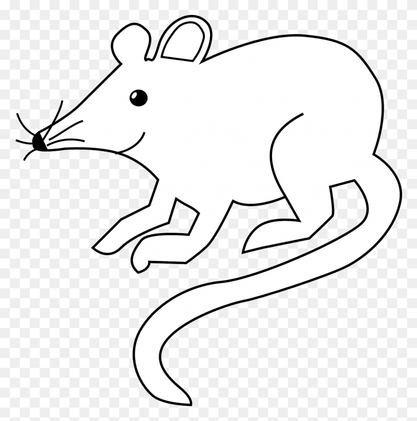 1268x1280 Mouse Rodent Rat Field Mouse Pest Lab Rat Rat Black And White Clipart, Axe, Tool, Mammal HD PNG Download