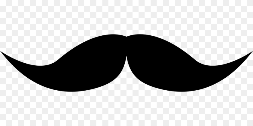Moustache, Gray PNG