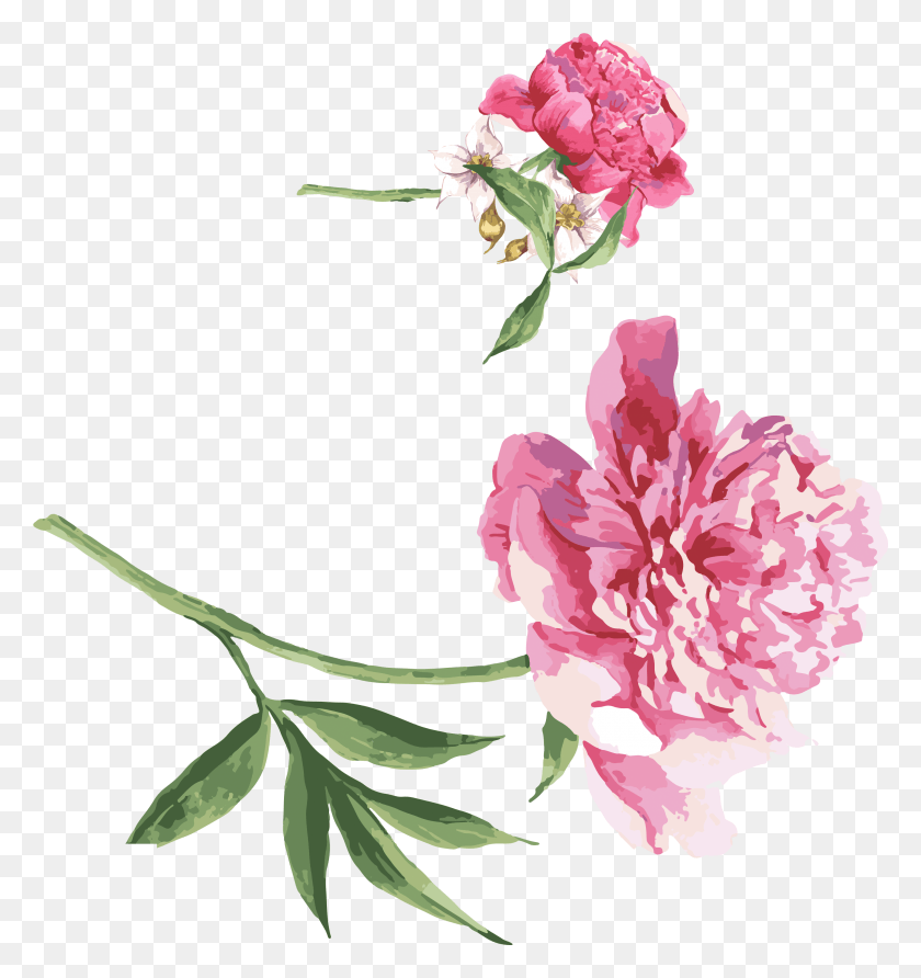 2820x3009 Moutan Peony Watercolor Painting Wishing For Quick Recovery, Plant, Flower, Blossom HD PNG Download