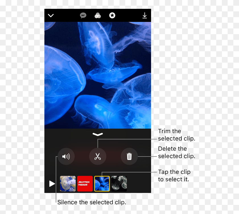 530x692 Moveclipiphone Smartphone, Sea Life, Animal, Invertebrate HD PNG Download