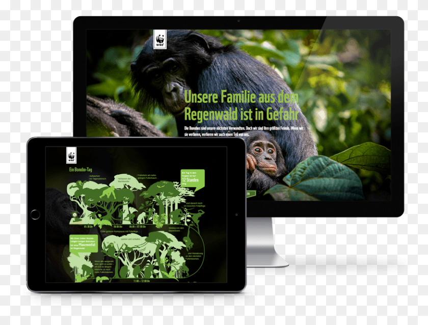 812x602 Moving Stories Smartphone, Ape, Wildlife, Mammal HD PNG Download