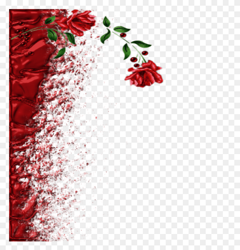 794x831 Mq Banner Border Borders Rose Red Garden Roses, Plant, Flower, Blossom HD PNG Download