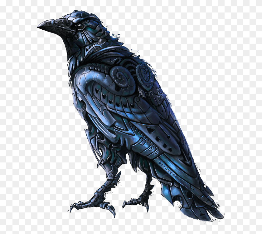 606x689 Mq Black Crow Bird Birds Raven King, Animal, Jay, Person HD PNG Download