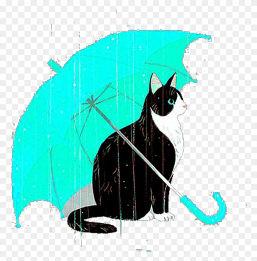 1012x1028 Mq Cat Blue Umbrella Rain Umbrella Cat, Млекопитающее, Животное, Домашнее Животное Png Скачать
