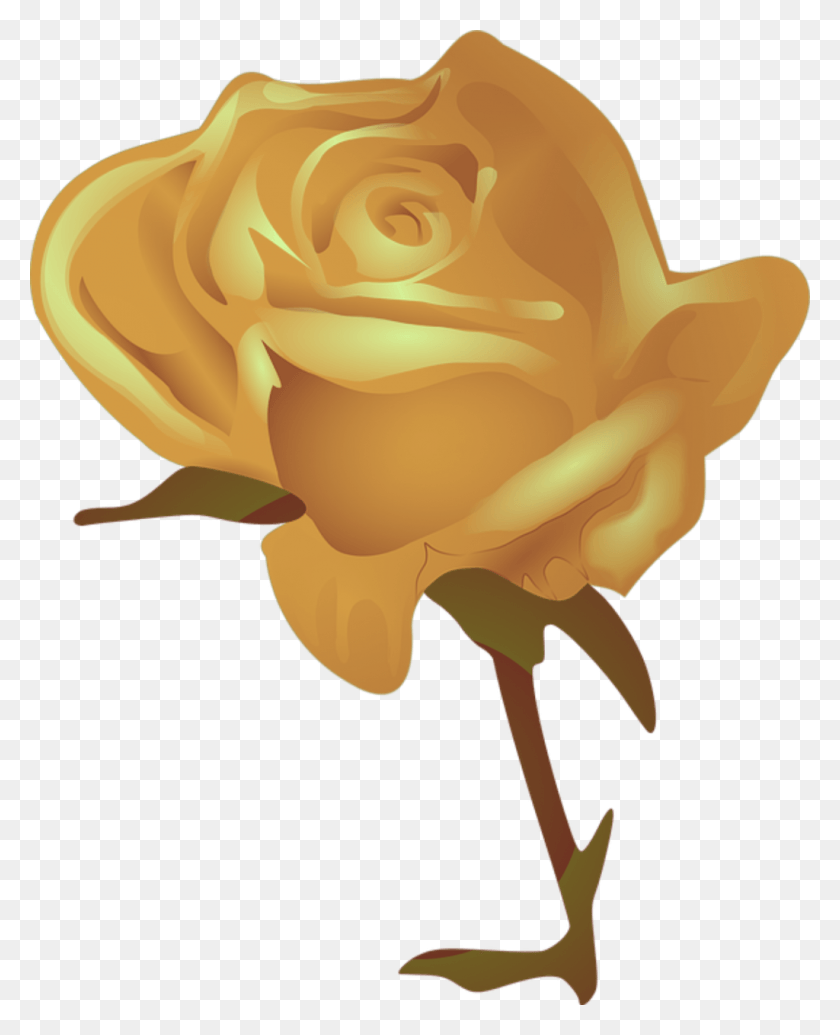 1024x1280 Mq Gold Rose Желтый Цветок Красный Цветок Мультфильм, Цветок, Растение, Цветение Hd Png Скачать